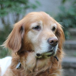 Our first happy client